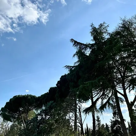 Appartamento Casale Collecchio *