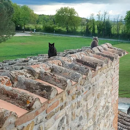 Casale Collecchio