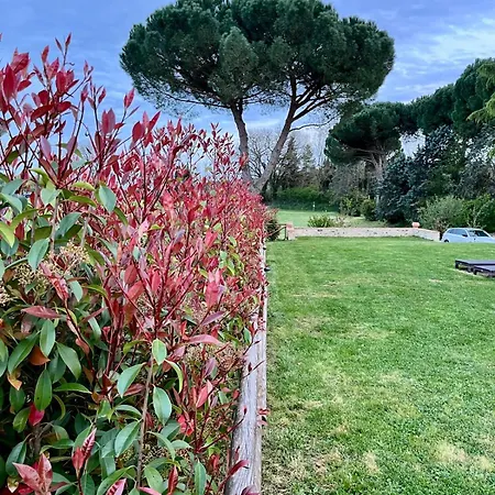 Casale Collecchio Appartamento