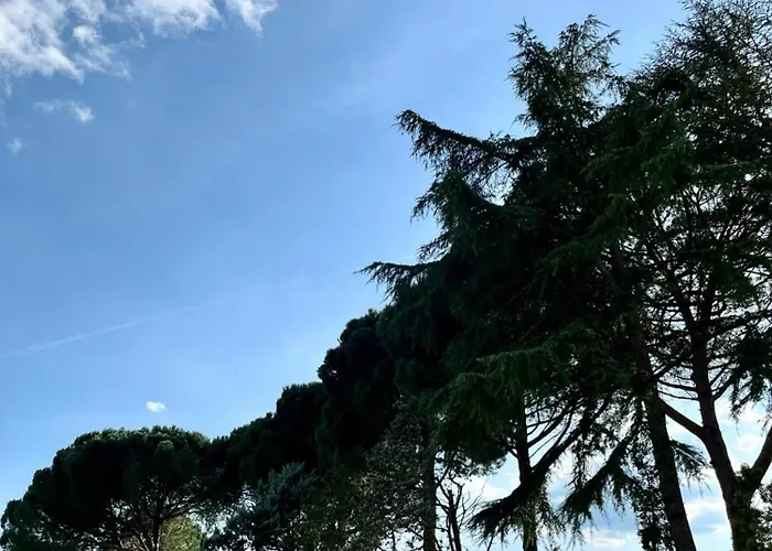 Apartamento Casale Collecchio *